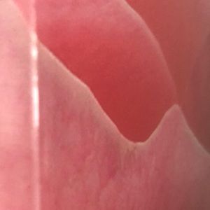 Meet your Posher, Justine